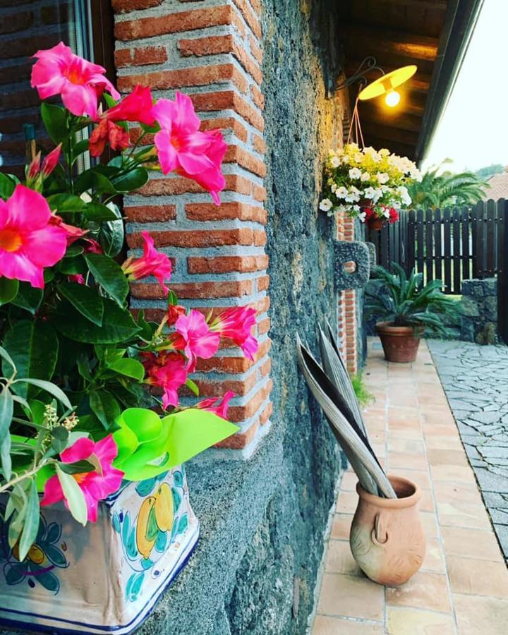 Il Tiglio Apartamento Viagrande Exterior foto