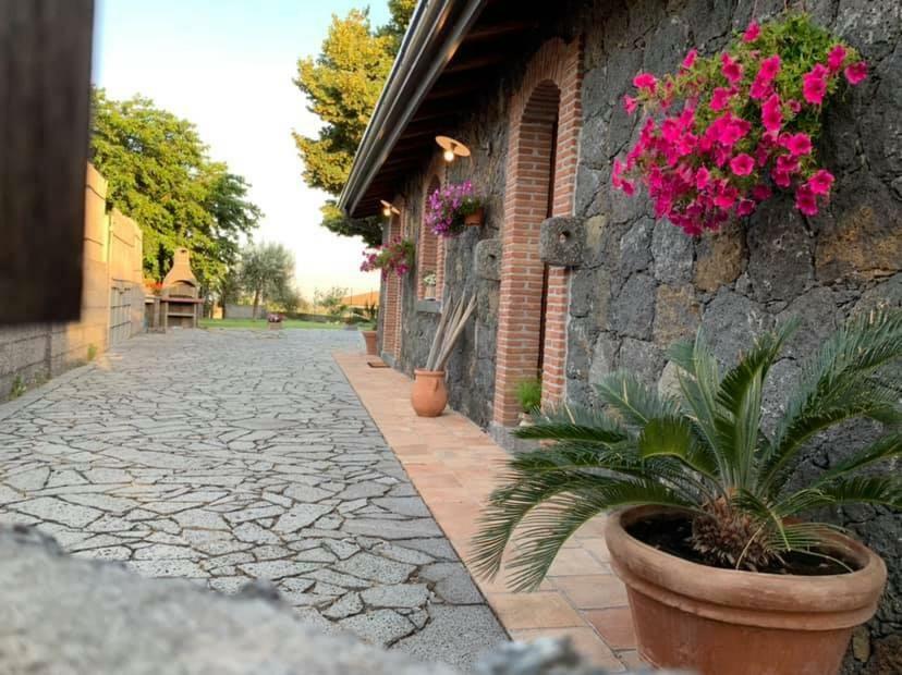Il Tiglio Apartamento Viagrande Exterior foto
